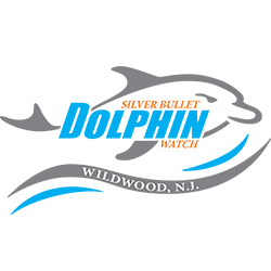 Silver Bullet Tours logo